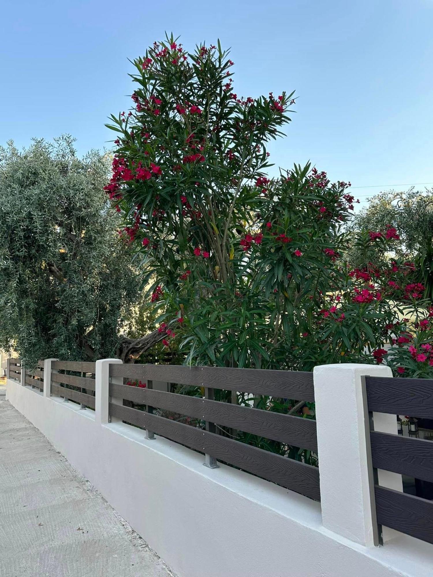 Valia House Thassos Apartamento Skála Kallirákhis Exterior foto